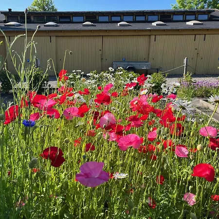 アパート Kobmandsgarden *